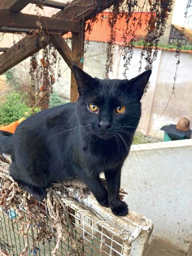 Maruška
