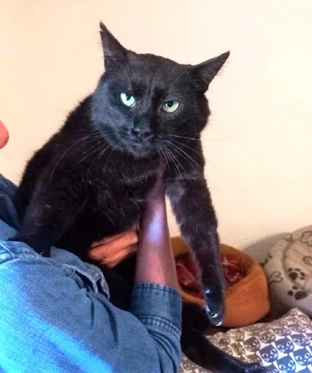 Hubert