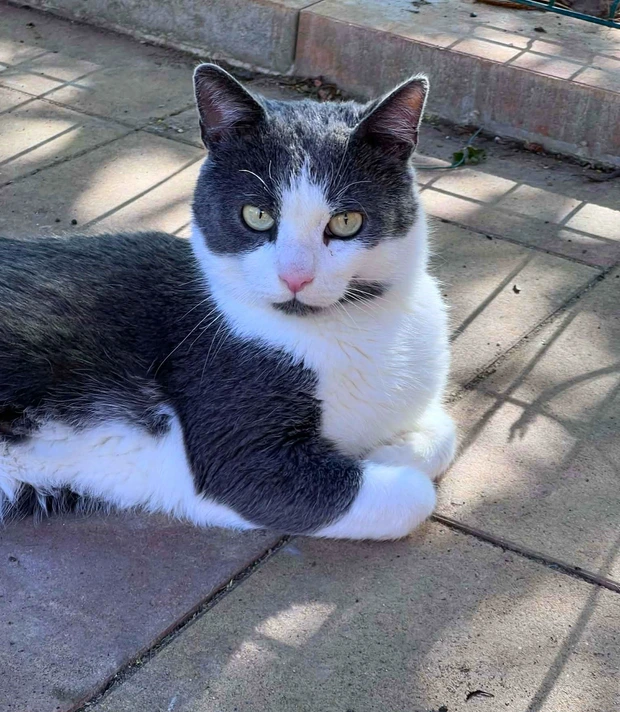 Oliver