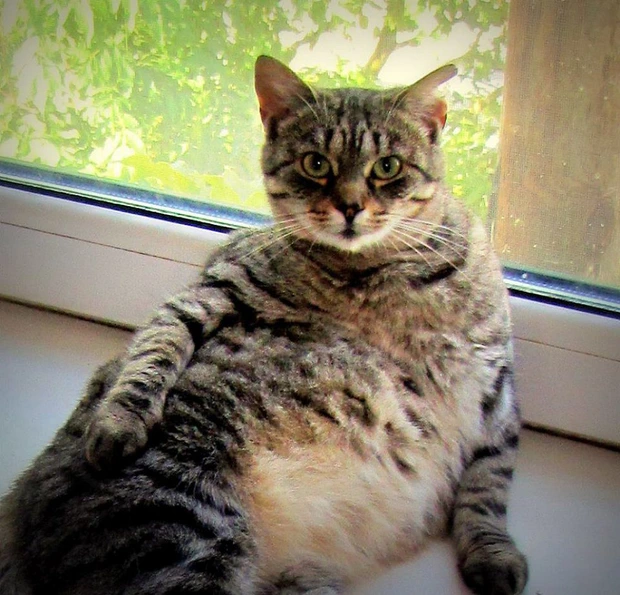 Debora