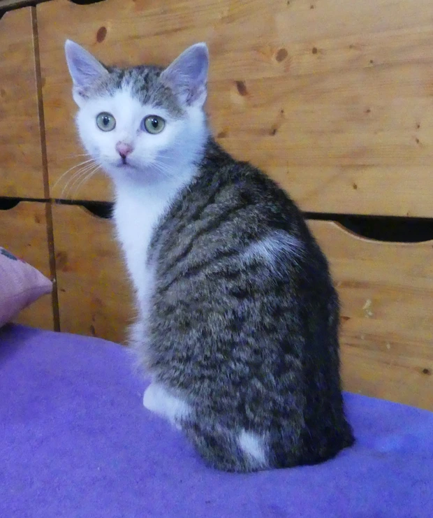 Lili