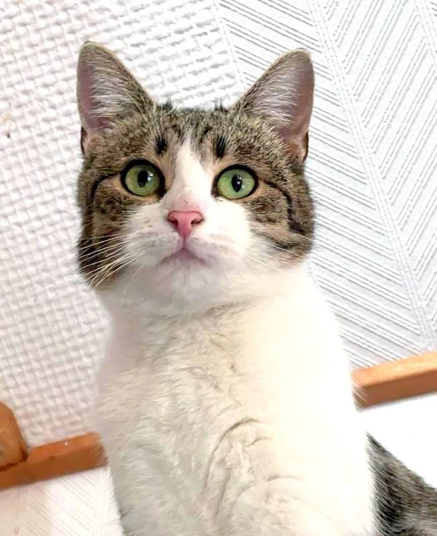 Justýna